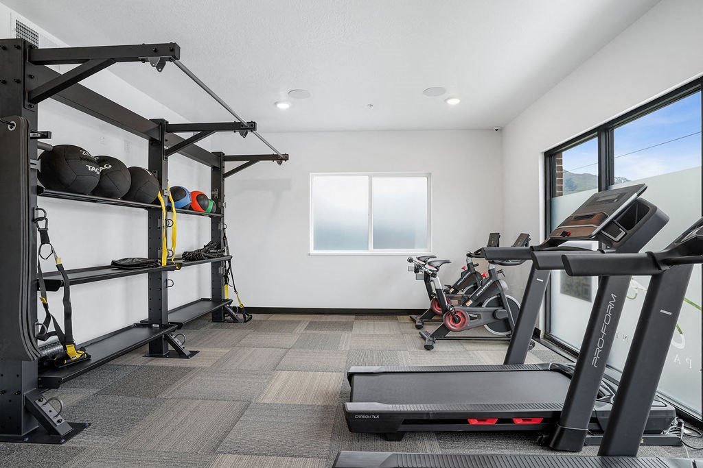the gym has treadmills and other exercise equipment in it