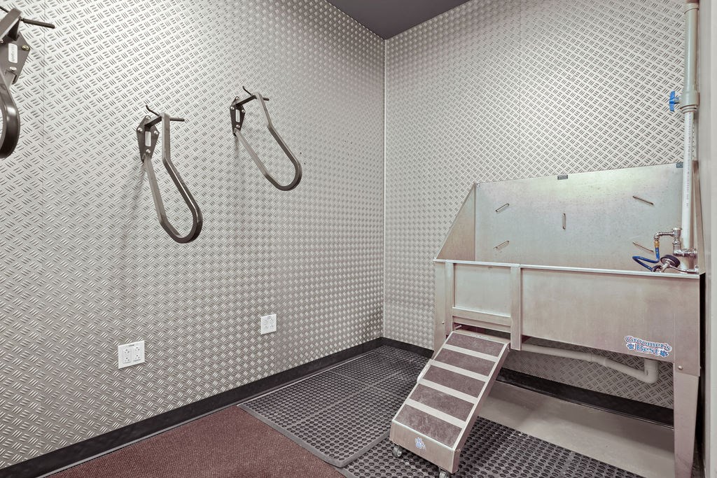 A bathroom with a shower, a sink, and a step ladder.