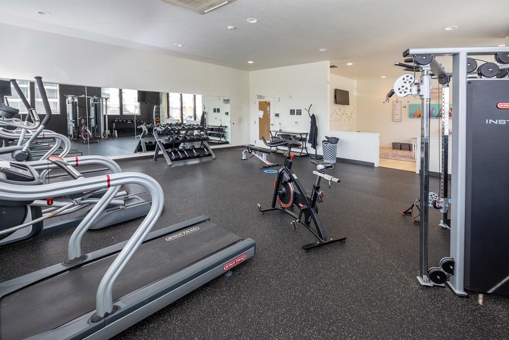 A gym with treadmills, exercise bikes, and other equipment.