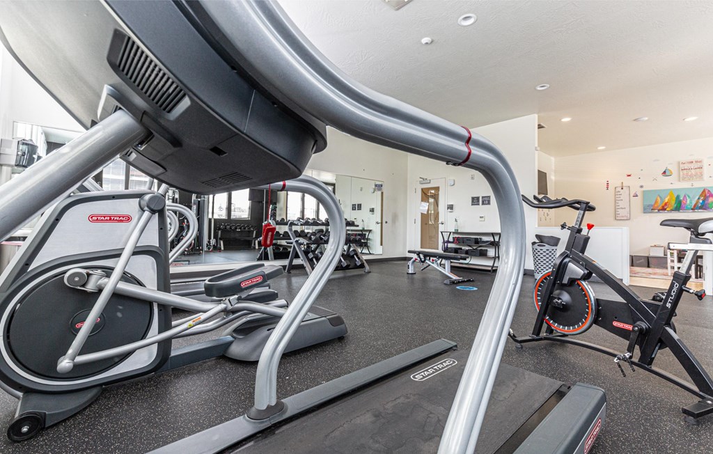 A gym with a treadmill, exercise bike and other equipment.