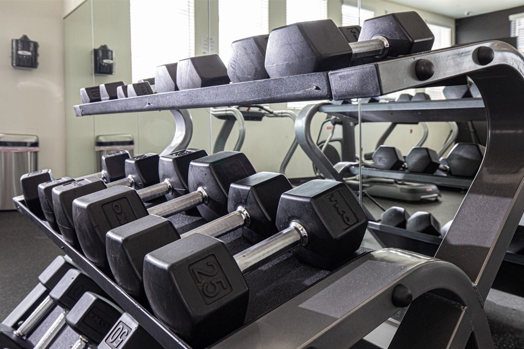 A set of dumbbells are on a rack in a gym.