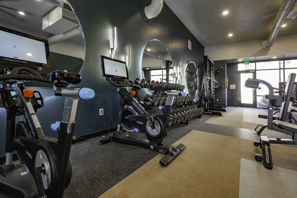 a gym with various exercise bikes and weights
