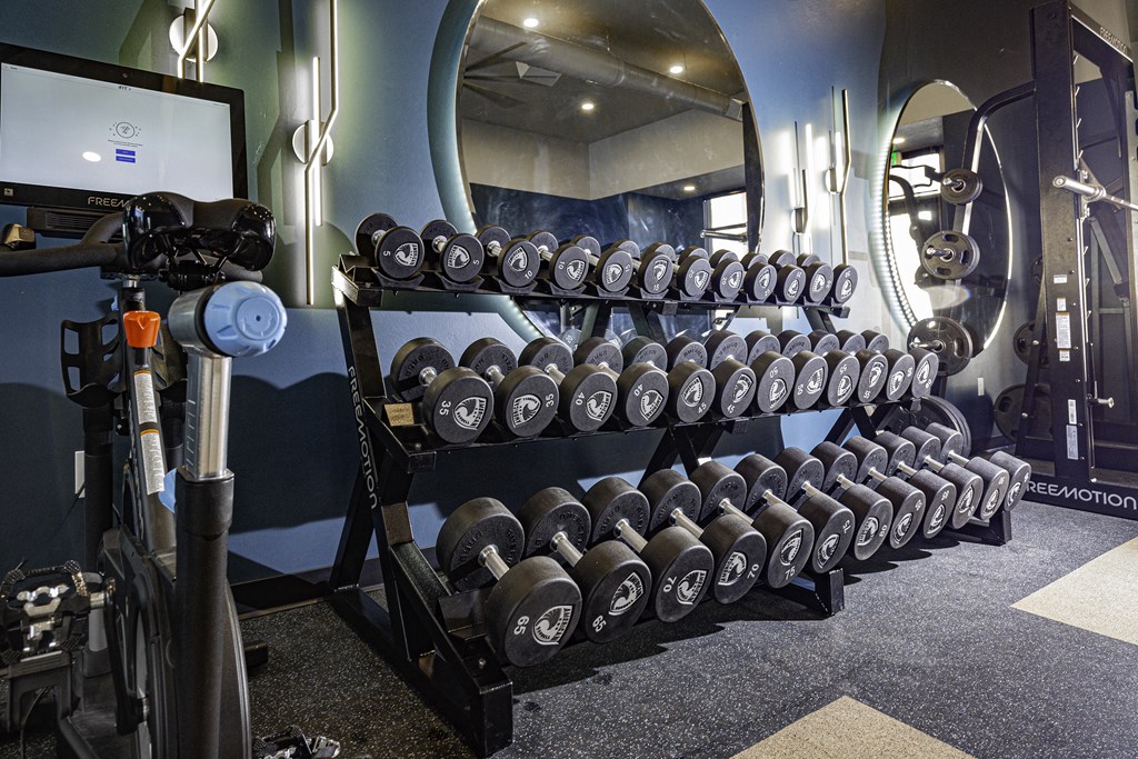 a rack of dumbbells in a gym