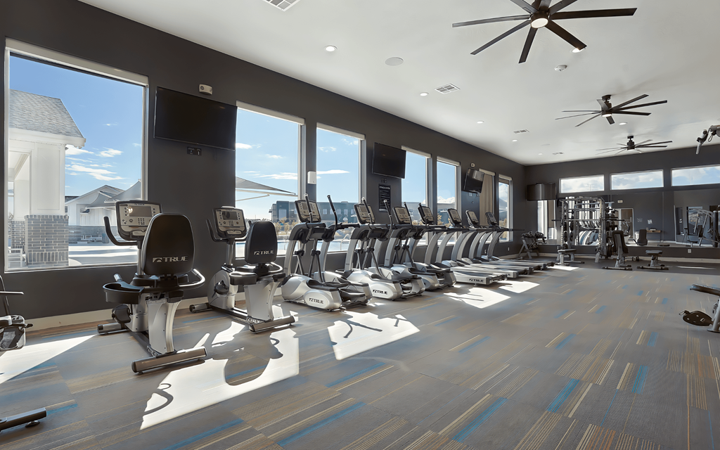 A gym with treadmills and exercise equipment.
