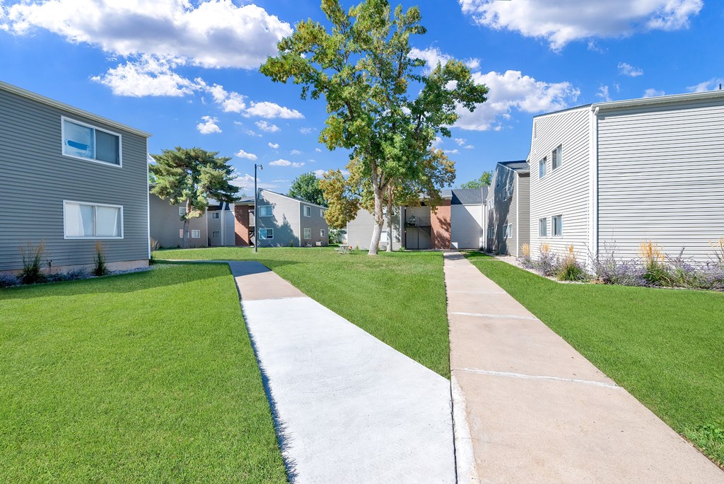 A tree stands in the middle of a grassy area between two sidewalks.