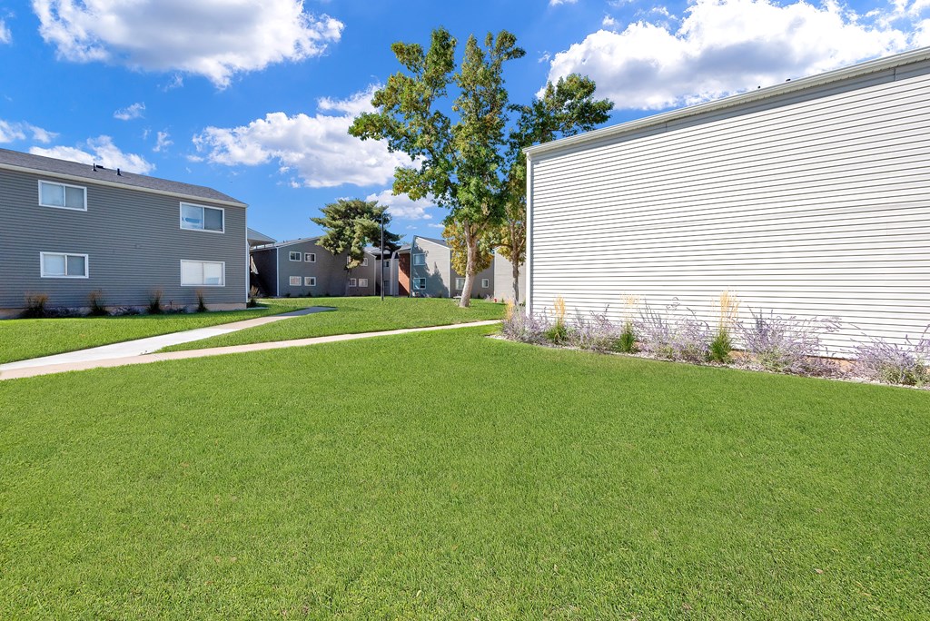 A grassy area in front of a building with a tree in the background.