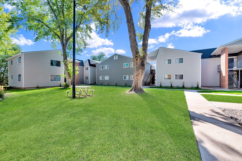 A tree stands in a grassy yard in front of a building.