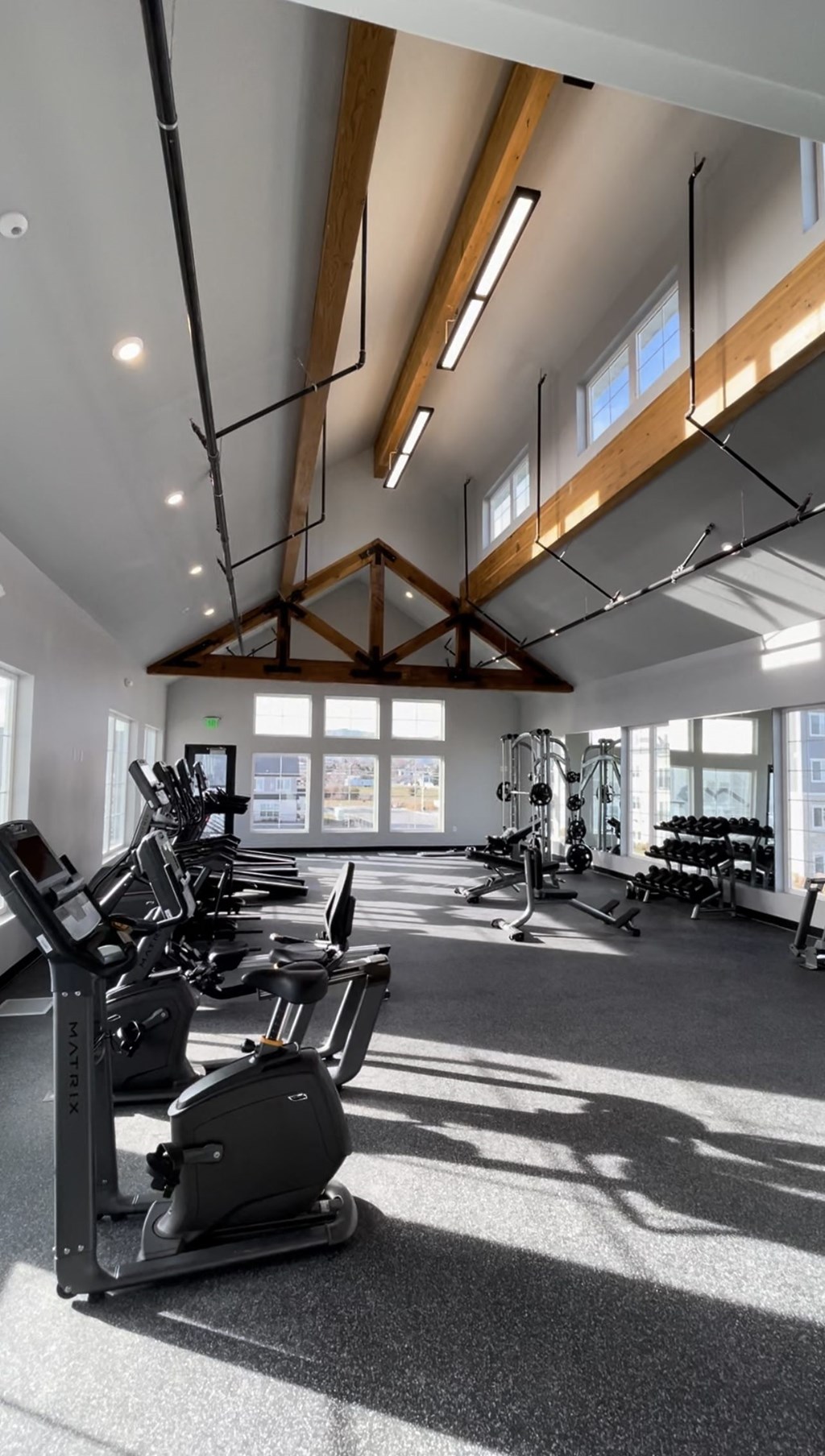 the gym has plenty of exercise equipment and windows
