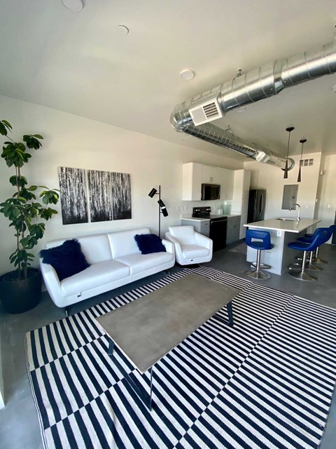 a living room with a black and white rug and a white couch