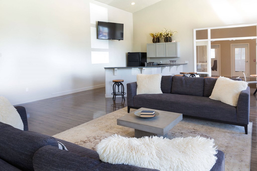 a living room with two couches and a coffee table