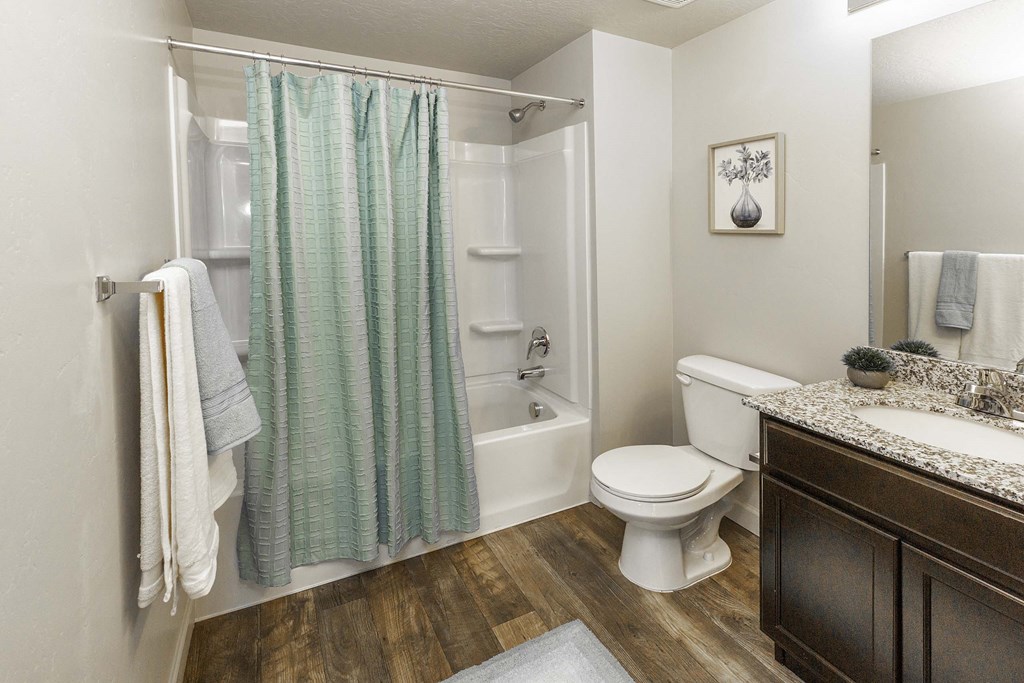 a bathroom with a white toilet next to a bathtub with a shower curtain