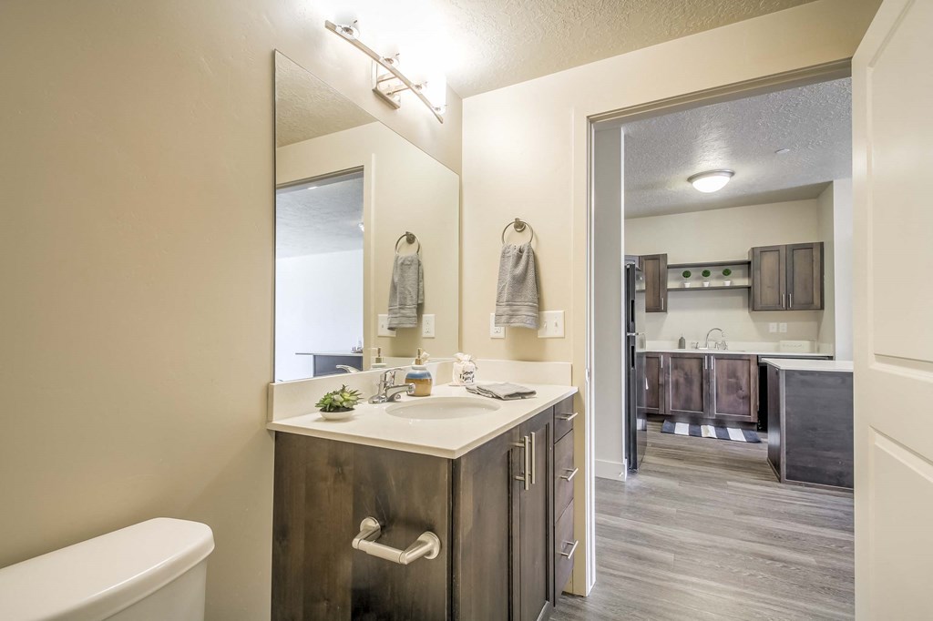 a bathroom with a sink and a mirror