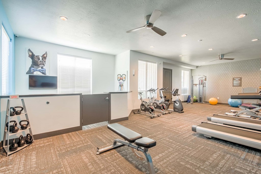 the apartments at masse corner 205 fitness room