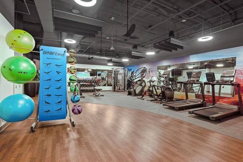 A gym with a variety of equipment and exercise balls.