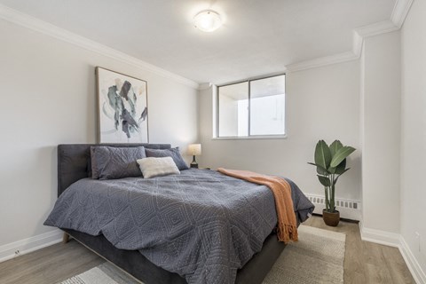 A bedroom with a bed, a painting, a potted plant, and a rug.