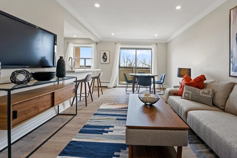 A living room with a television, couch, and a rug.