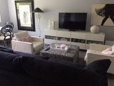 A living room with a black couch and a television.