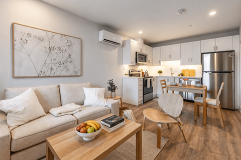 Living Room & Kitchen