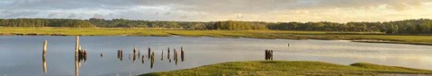 A serene landscape with a body of water, grassy banks, and scattered wooden posts.