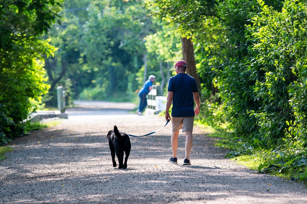 a man walking his dog down a path in a park