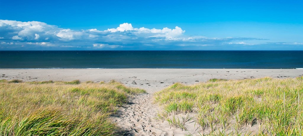 a path through the sand to the beach