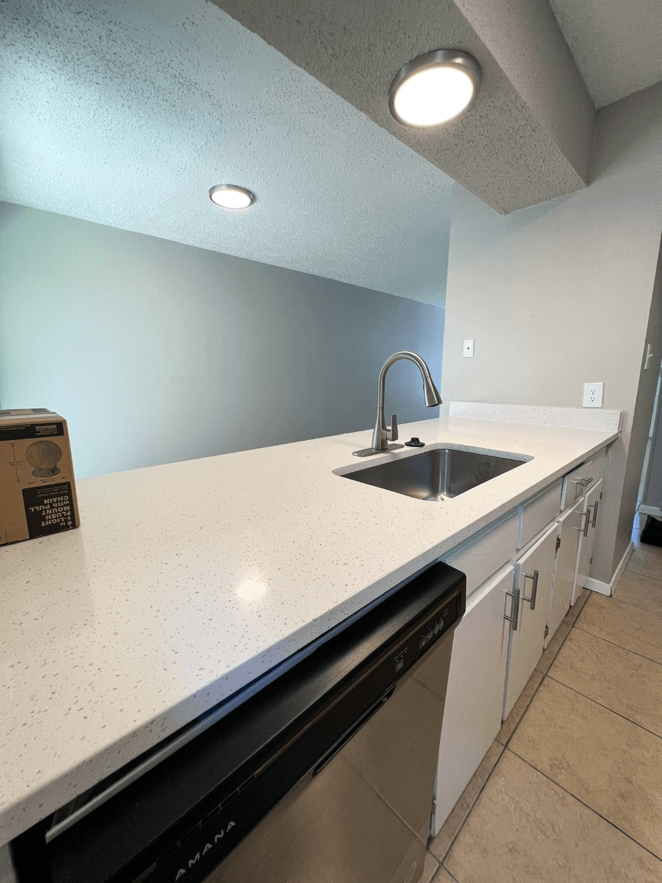 a kitchen with a sink and a dishwasher