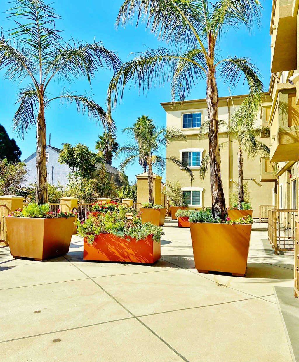 large planters with palm trees in front of a building