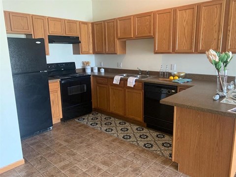a kitchen with a black refrigerator freezer and a stove top oven