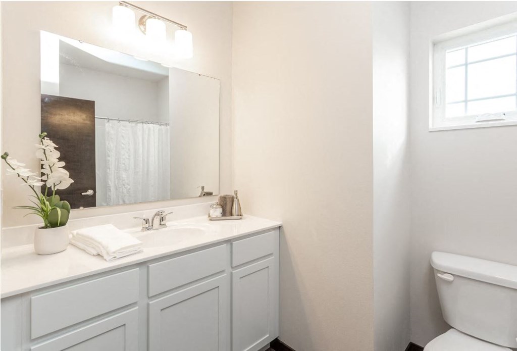 a bathroom with a toilet and a sink and a mirror