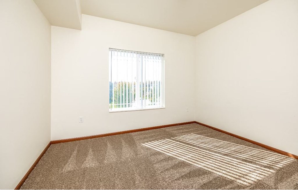 a room with carpet and a window