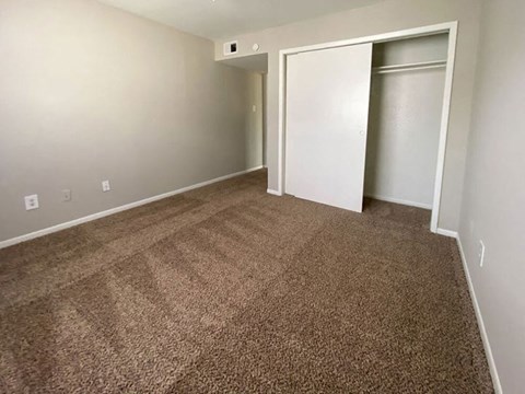 an empty bedroom with a closet and a carpeted floor