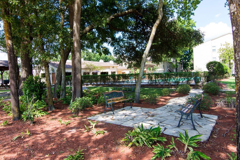 a park with trees and benches and a building in the background