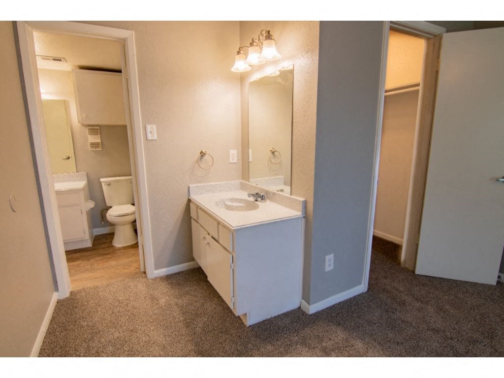 a bathroom with a sink and a toilet