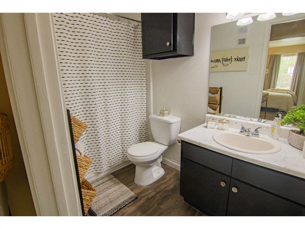 a bathroom with a toilet sink and mirror