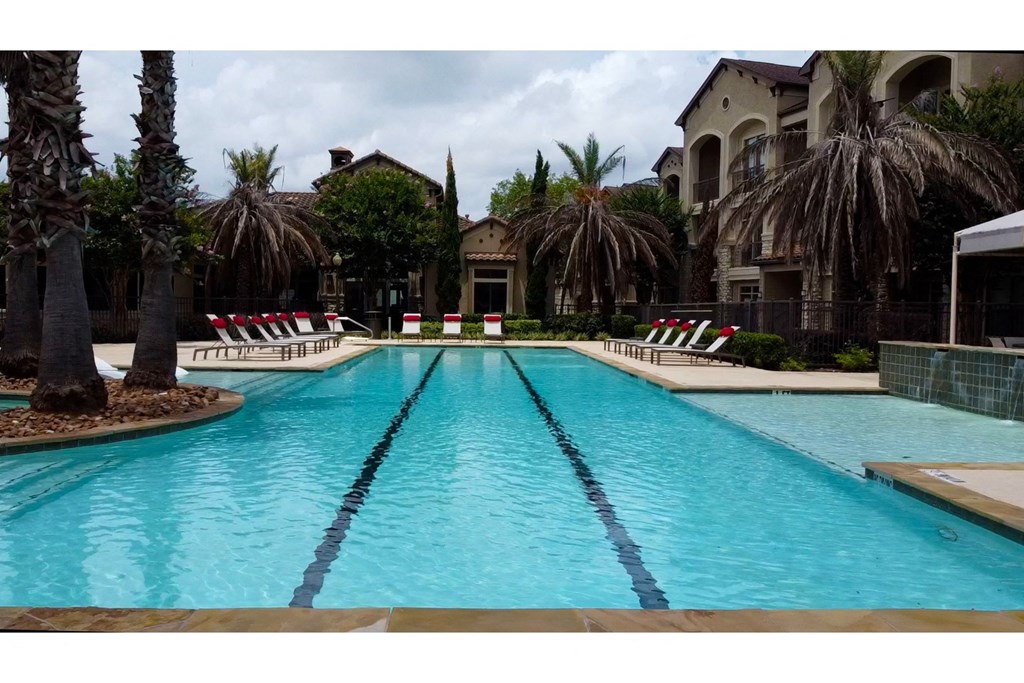 a large swimming pool with a bunch of palm trees in the background