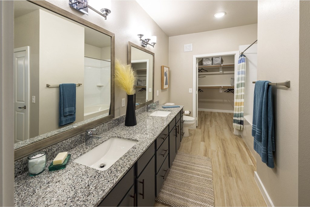 the enclave at homecoming terra vista bathroom