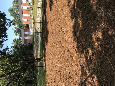 A dirt path with a fence and trees on the left and a building in the background.