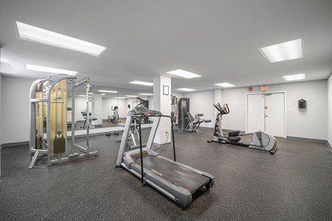 A gym with a treadmill, weights, and exercise equipment.