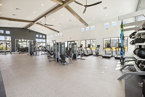 A spacious gym with a variety of equipment.