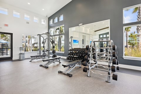 A gym with a variety of equipment including weights and treadmills.