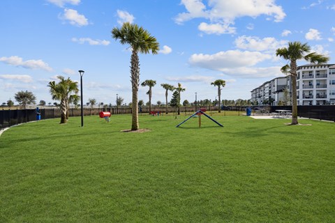 A park with a green lawn and palm trees.