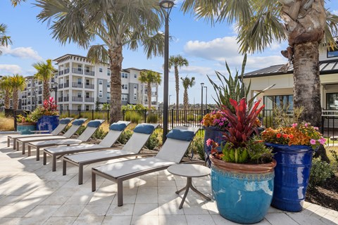 A row of lounge chairs are arranged on a patio.