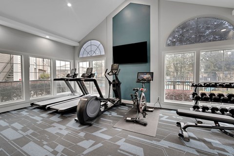 the residence has a gym with plenty of exercise equipment and windows