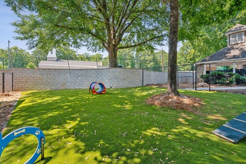 a backyard with a tree and a playground and a fence