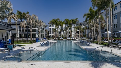 A large swimming pool surrounded by palm trees and lounge chairs.
