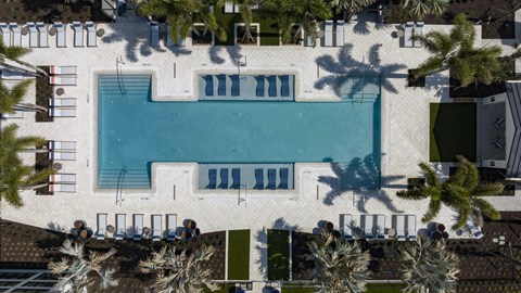 A large swimming pool surrounded by palm trees and lounge chairs.