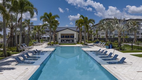 A large swimming pool surrounded by lounge chairs and palm trees.