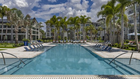 A large swimming pool surrounded by palm trees and lounge chairs.