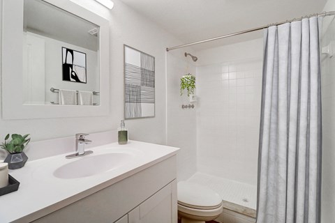 a bathroom with a shower and a sink and a toilet