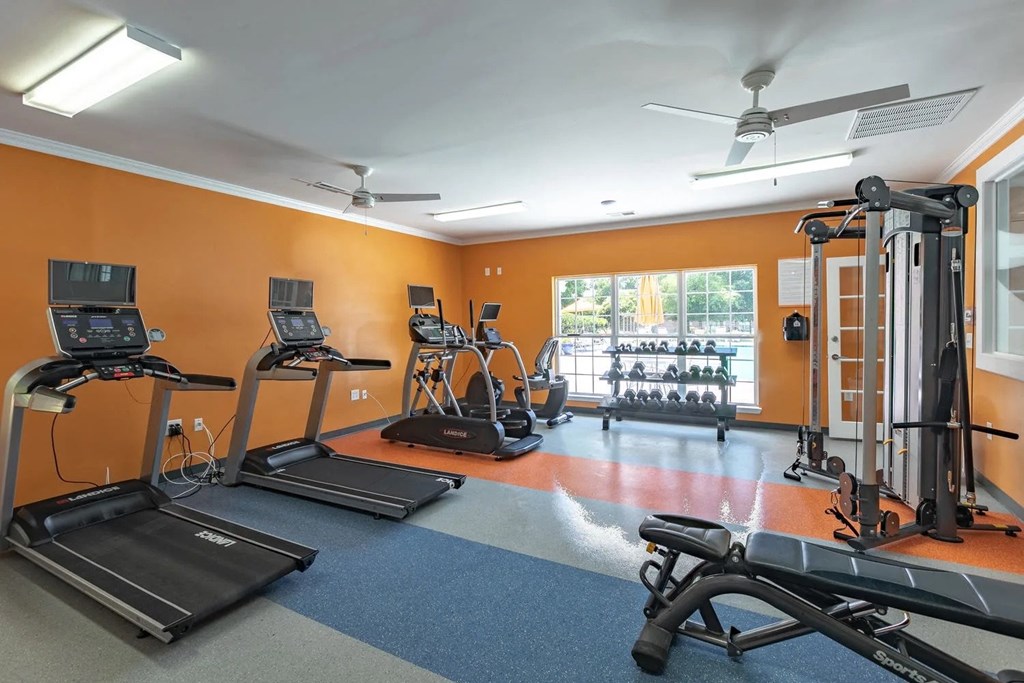 A gym with treadmills, elliptical machines, and a fan.